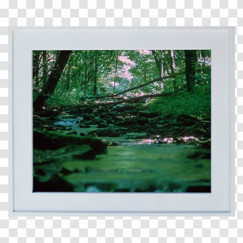 Painting Art Picture Frames Pond Landscape Transparent PNG