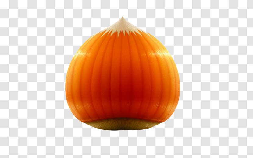 Pumpkin Lighting Hazelnut - Orange - Large Onion Vegetable Transparent PNG