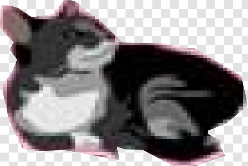 Whiskers Cat Snout - Black Attack Transparent PNG