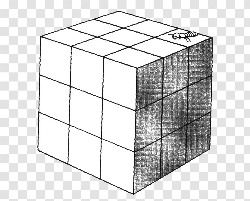 Rubik's Cube Color - Area - Wood Transparent PNG