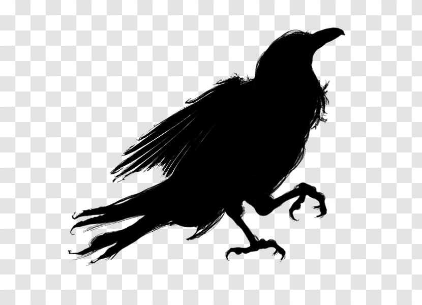 Silhouette Bird American Crow - Ravens 3d Animated Transparent PNG