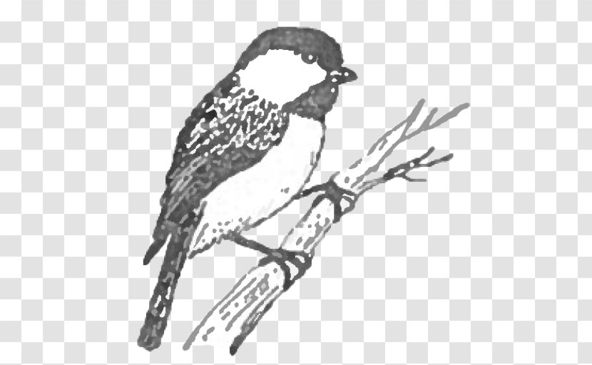 Cartoon Bird - Fauna - Perching Bobolink Transparent PNG
