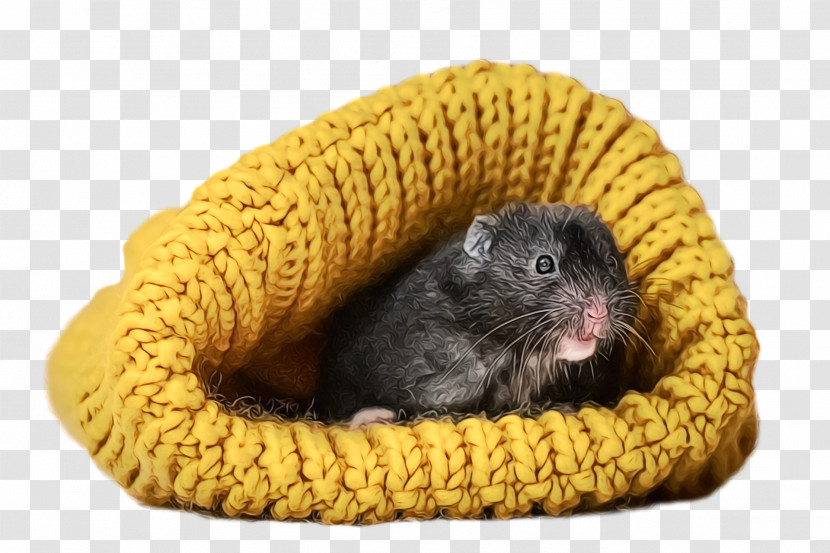 Hamster Transparent PNG