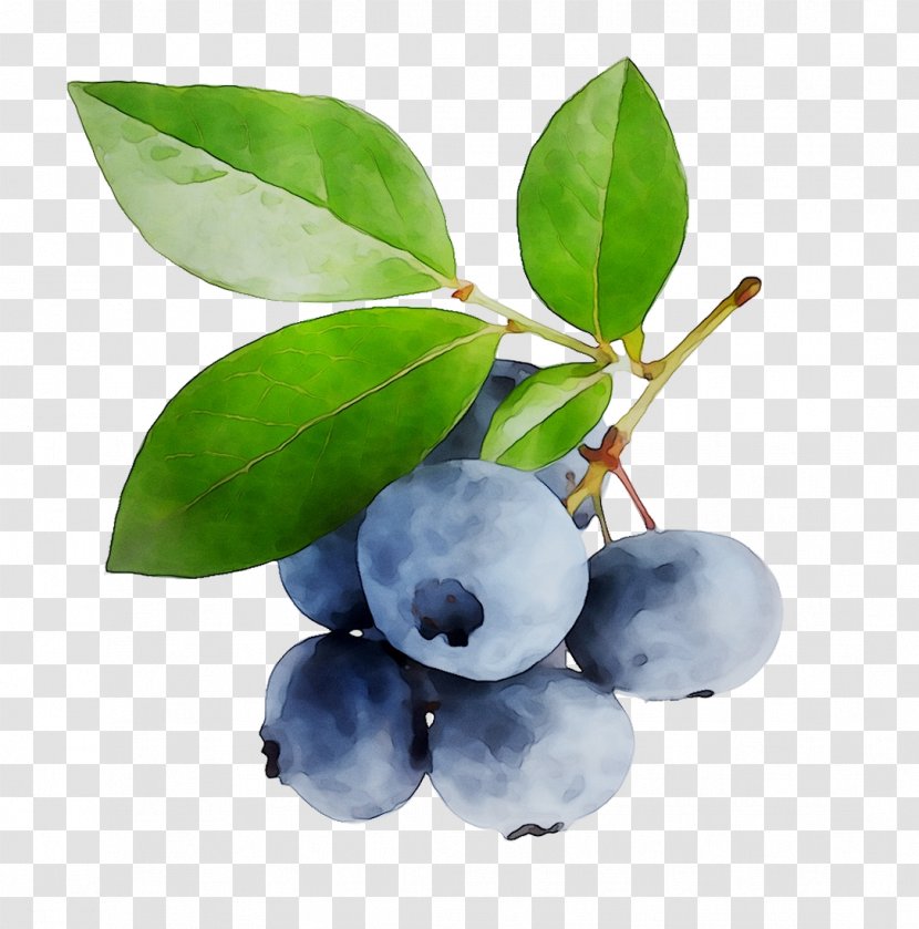 Blueberry Bilberry Huckleberry Acai Berry Berries - Food Transparent PNG