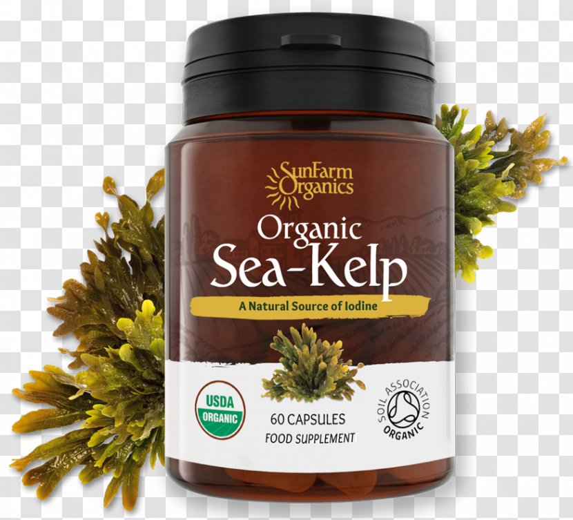 Iodine Kelp Organic Food Seaweed Thyroid - Superfood - Farming Transparent PNG