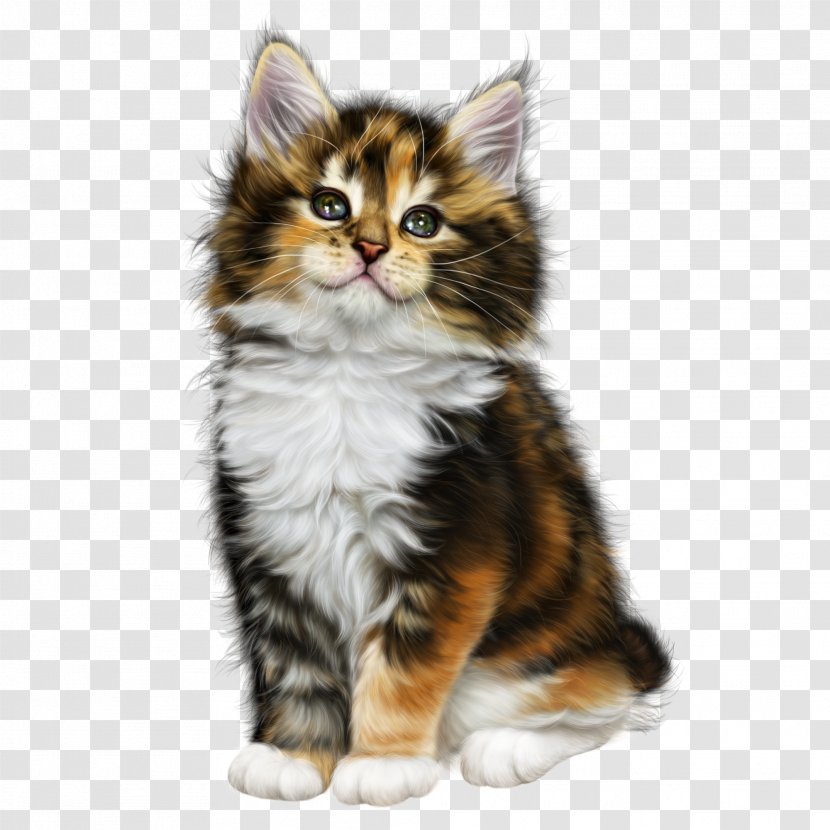 Cat Woman Kitten - Cartoon - Color Transparent PNG