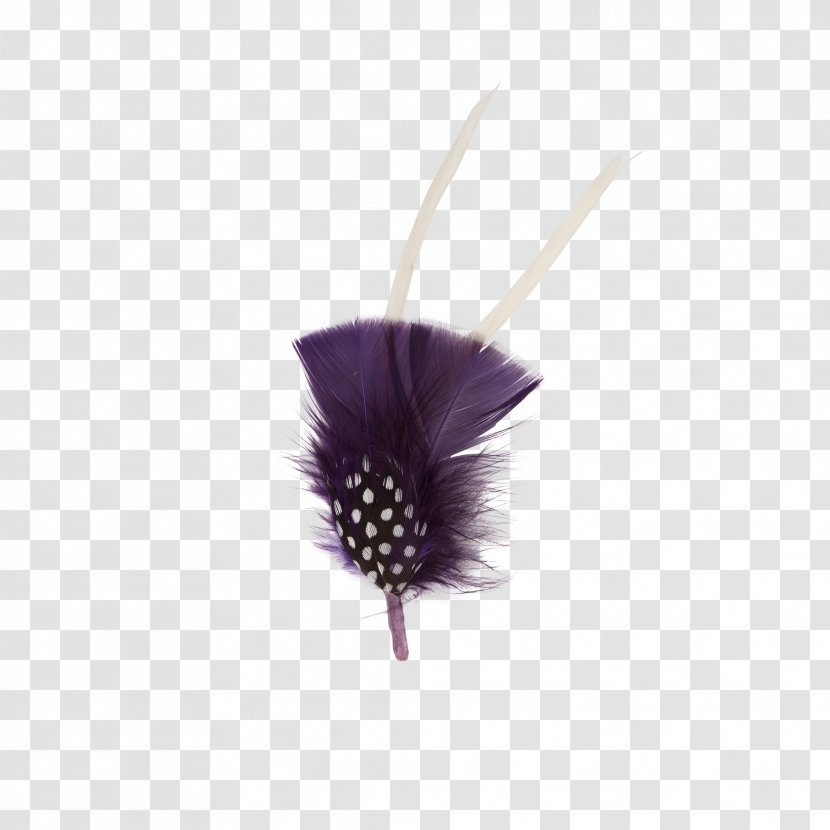 Feather Goorin Bros. Purple Violet Lilac - Boho Arrow Transparent PNG