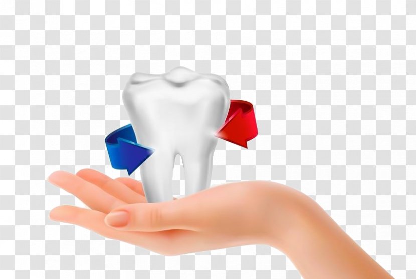 TRu0130ADENT Au011eIZ VE Du0130u015e SAu011eLIu011eI POLu0130KLu0130Nu0130u011eu0130 Dentist Human Tooth Therapy - Silhouette - Hands Teeth Transparent PNG