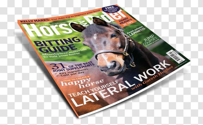 Magazine Brand Snout - Advertising - Horse Rider Transparent PNG