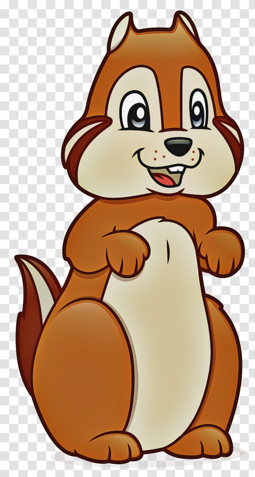 Squirrel Cartoon - Drawing - Tail Squitten Transparent PNG