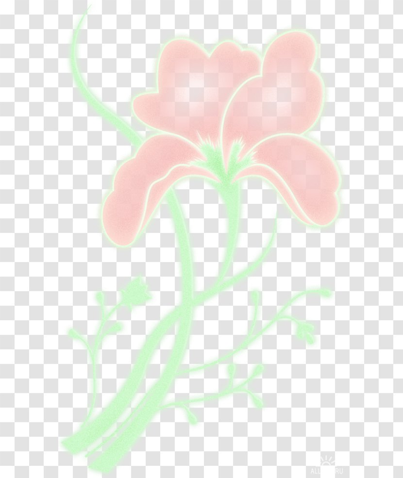 Rose Family Floral Design Petal Desktop Wallpaper - Plant - Leaf Transparent PNG