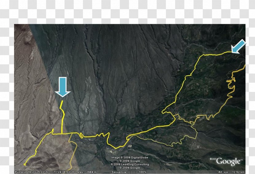 Tree Map Tuberculosis - Area Transparent PNG