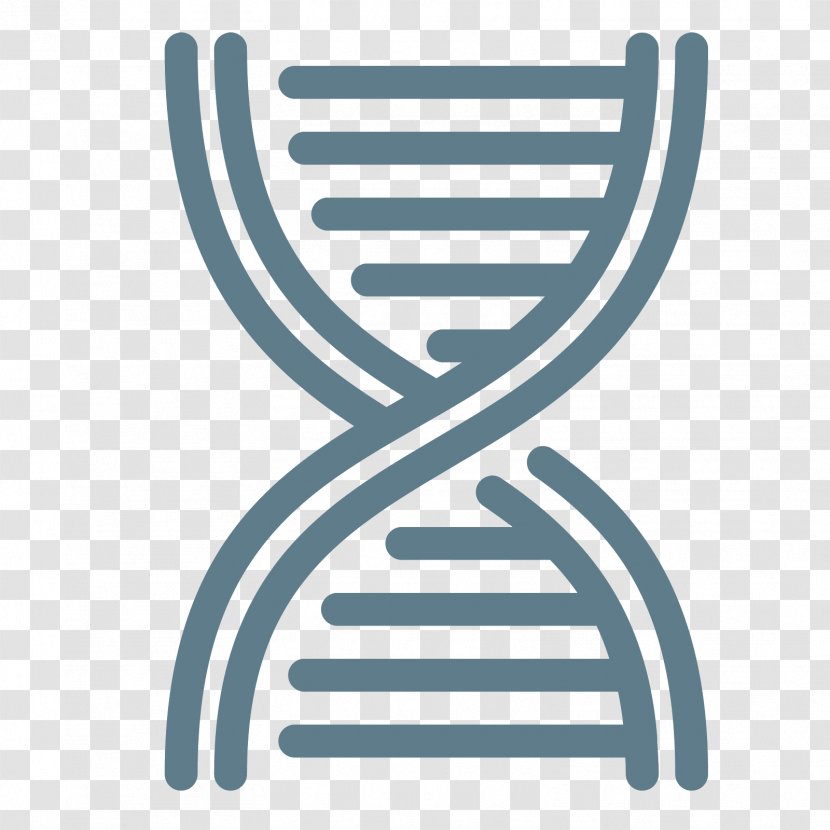 Nucleic Acid Double Helix DNA Methyltransferase Methylation - Logo - Vector Transparent PNG