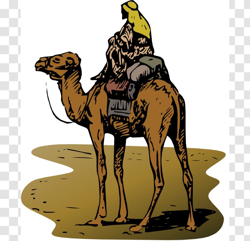 Student Central Asia Silk Road Trade Worksheet - Horse - Camel Images Transparent PNG