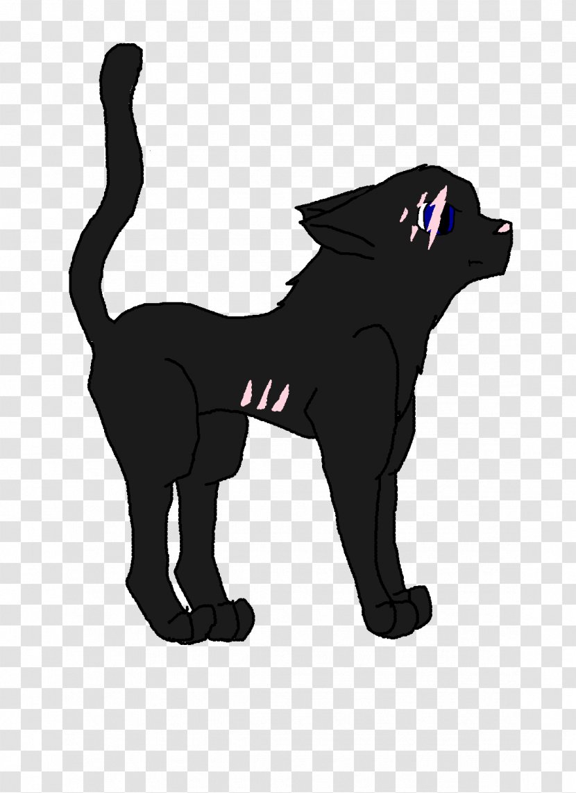 Black Cat Dog Breed Transparent PNG
