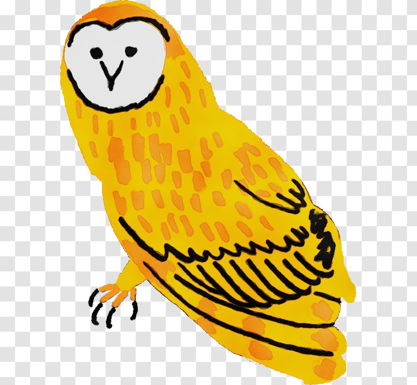 Owls Falcon Beak Bird Of Prey Birds Transparent PNG
