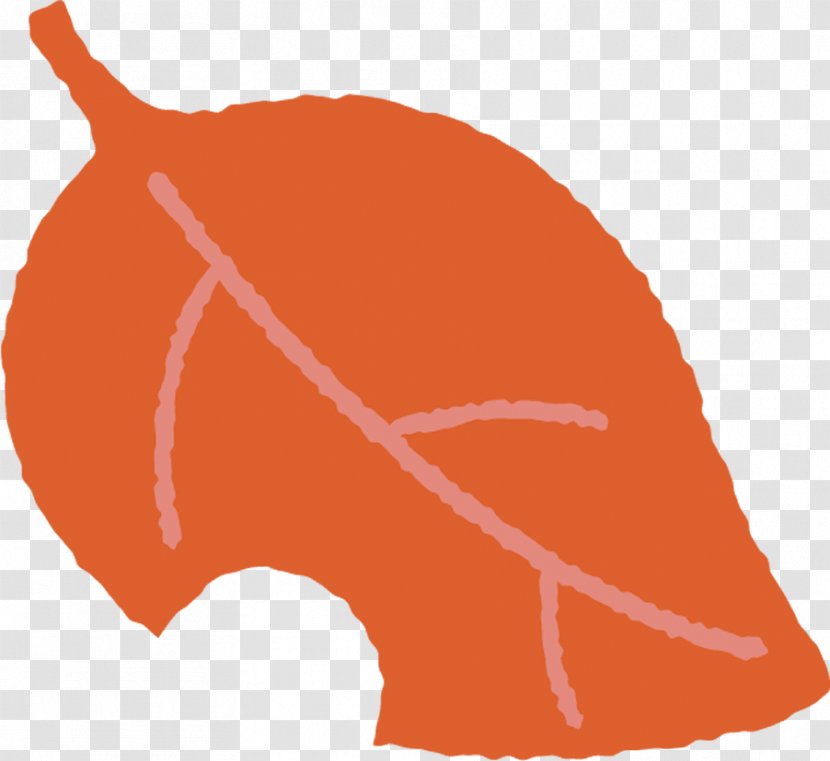 Orange - Leaf Transparent PNG