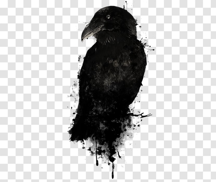Canvas Print American Crow The Raven Art - Bird Of Prey Transparent PNG