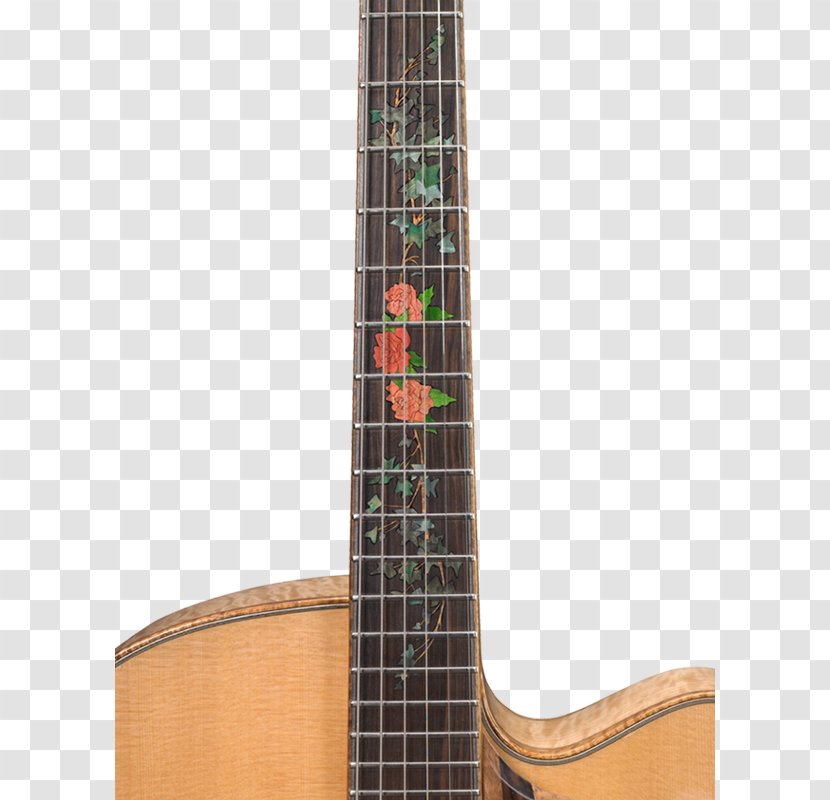 Bass Guitar Acoustic Tiple Ukulele Cuatro - Cartoon Transparent PNG