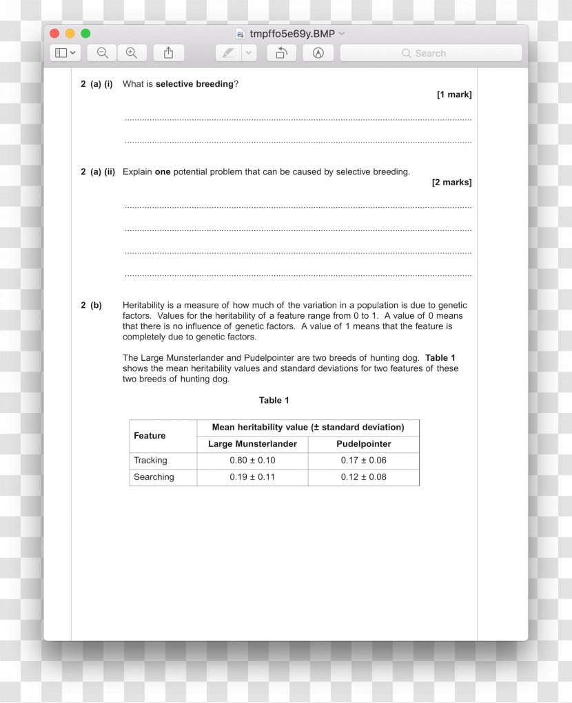 Screenshot Line Diagram Brand Font Transparent PNG