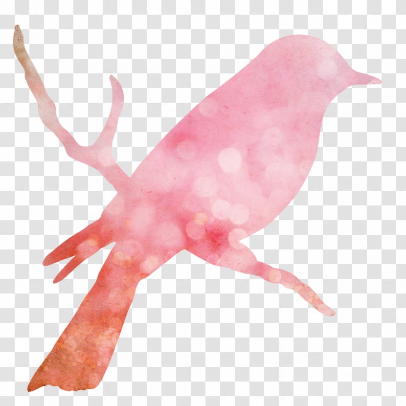 Bird Nest Illustration - Feather - Pink Birds Transparent PNG