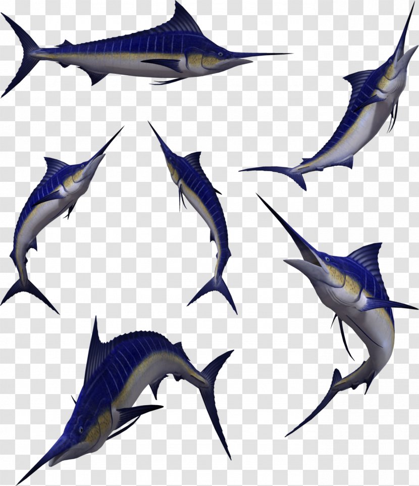 Swordfish Atlantic Blue Marlin Clip Art - Dolphin - Fish Balls Transparent PNG