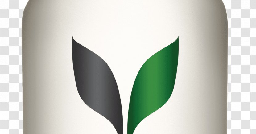 Leaf Distilled Beverage - Plant - Sprit Transparent PNG