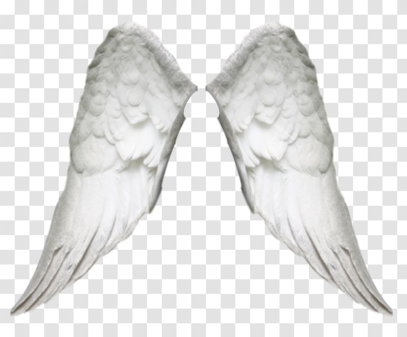 Angel Photomontage - Ali Transparent PNG