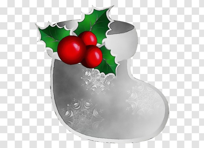 Holly - Watercolor - Fruit Plant Transparent PNG