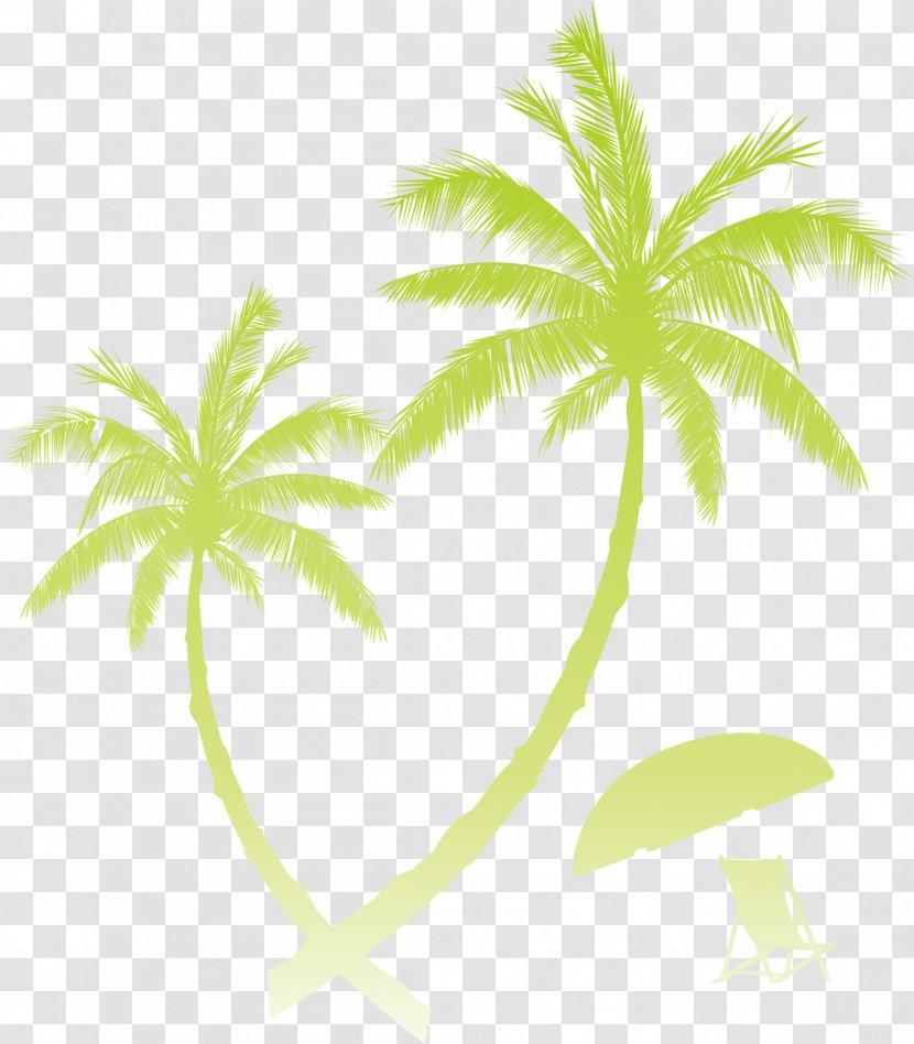 Sunset Beach Clip Art - Plant Stem - Coconut Tree Pattern Transparent PNG