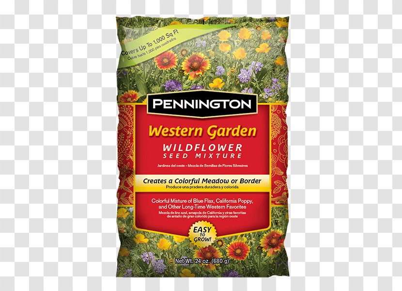 Wildflower Garden Seed Lawn Perennial Ryegrass - Silhouette - Flower Transparent PNG
