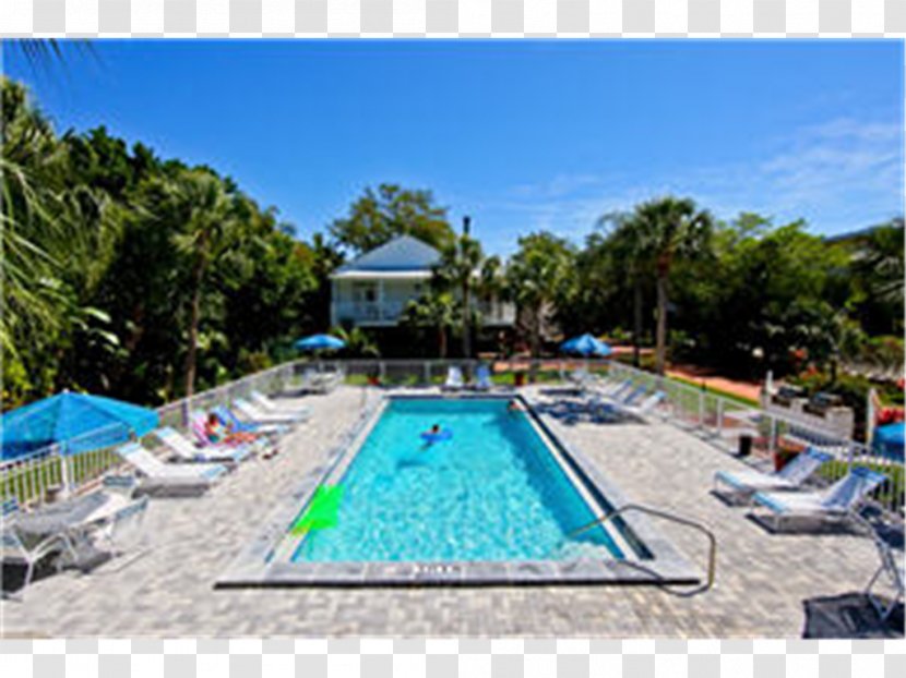 Little Gull Cottages Villa Hotel Accommodation Resort - Real Estate - Swimming Pool Transparent PNG