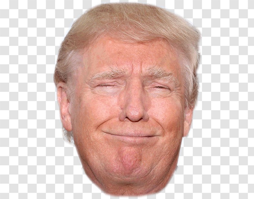 Donald Trump President Of The United States Republican Party Politician - Chin Transparent PNG