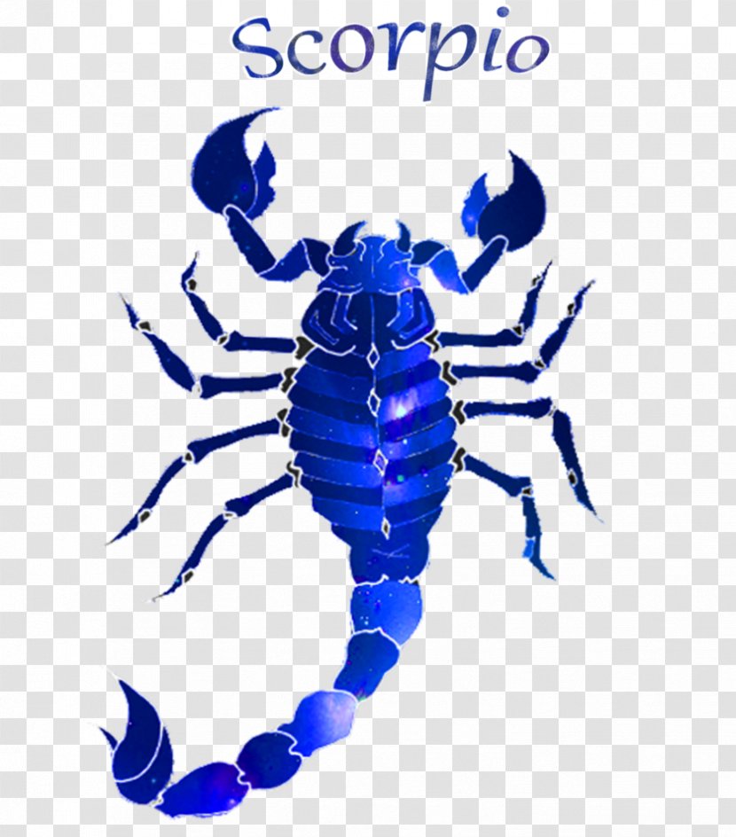 Clip Art Scorpion Insect Electric Blue Pattern - Scorpio Typography Transparent PNG