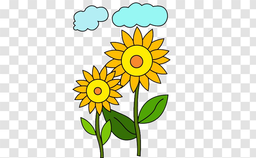Common Sunflower Drawing Color For Kids Coloring Book - Artwork - Flower Transparent PNG