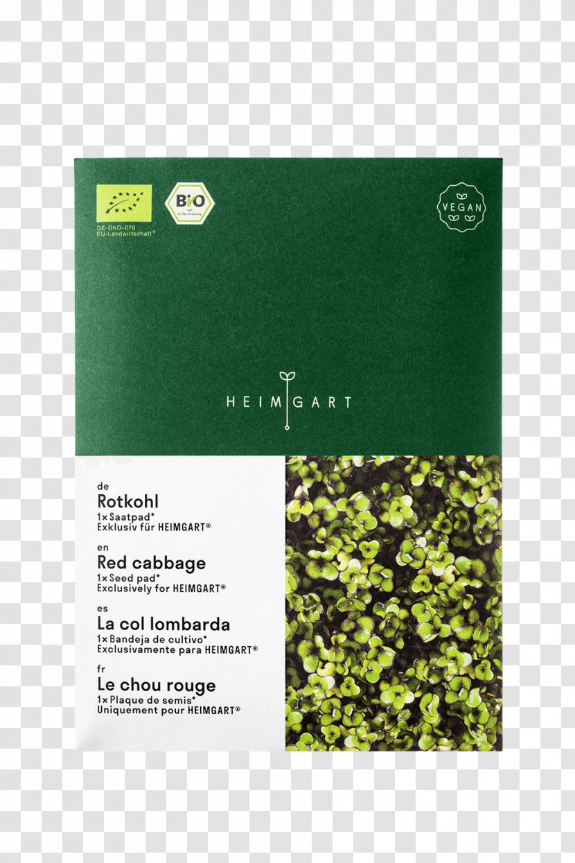 Text Microgreen Superfood Garden Conflagration - Typeface - Microgreens Transparent PNG