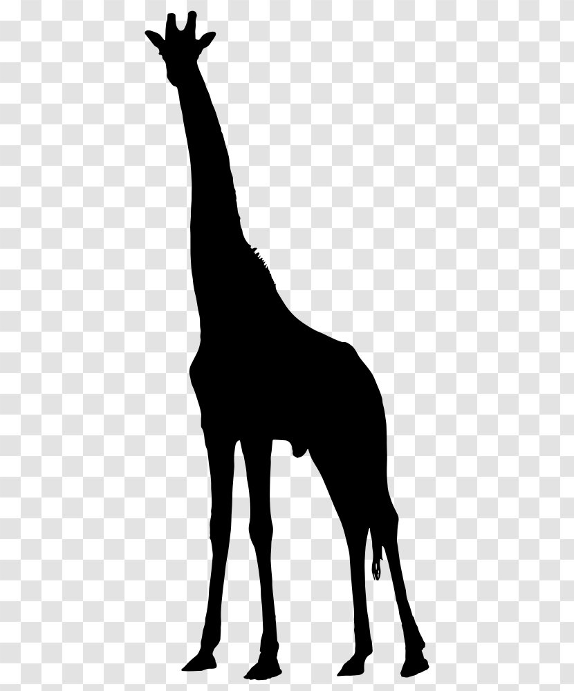 Silhouette West African Giraffe Clip Art - Giraffids Transparent PNG