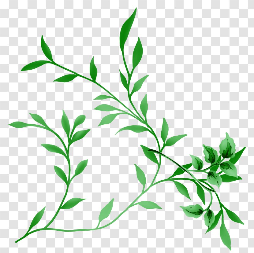 Clip Art Image Vector Graphics Leaf - Forum Transparent PNG