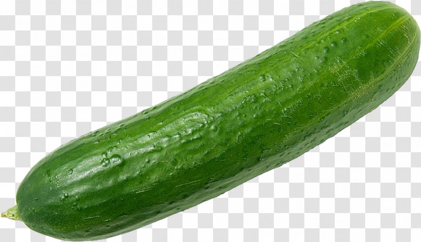 Cucumber Vegetable Organic Food Zucchini Fruit - High Resolution Images Transparent PNG