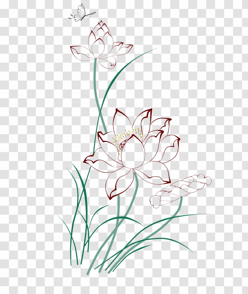 Painting Drawing - Plant Stem - Line Lotus Transparent PNG
