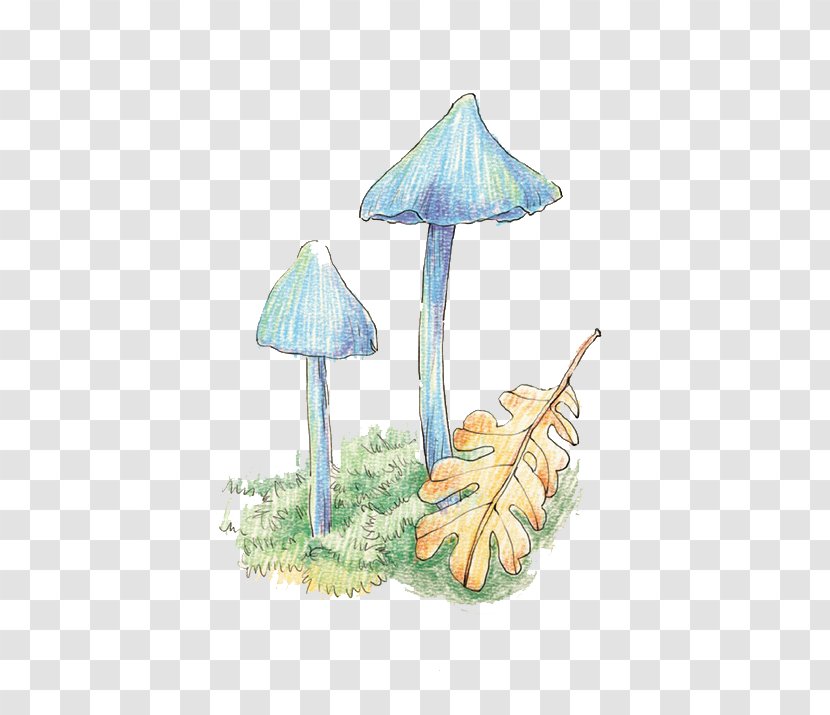 Watercolor Painting Cartoon Colored Pencil Illustration - Hand-painted Mushrooms Transparent PNG