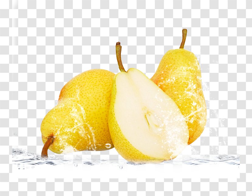 Sydney Lemon Pyrus Nivalis - Photos Transparent PNG