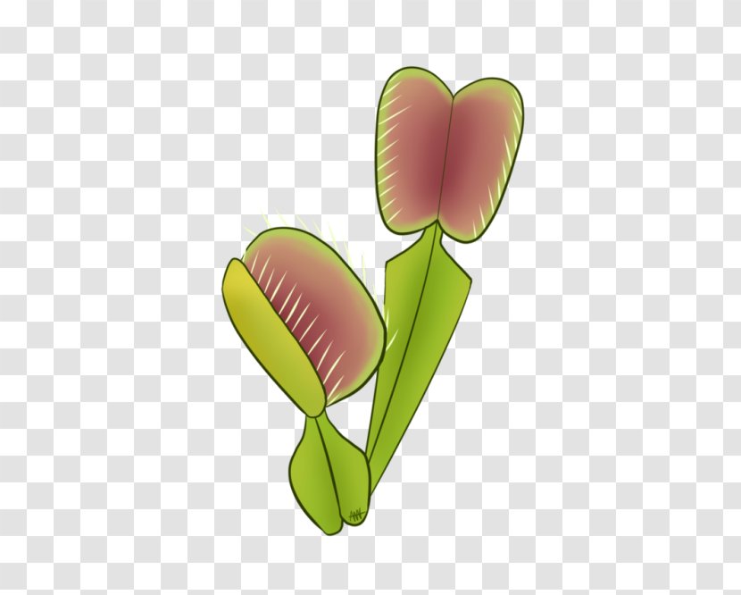 Petal Leaf Plant Stem Clip Art - Flower Transparent PNG