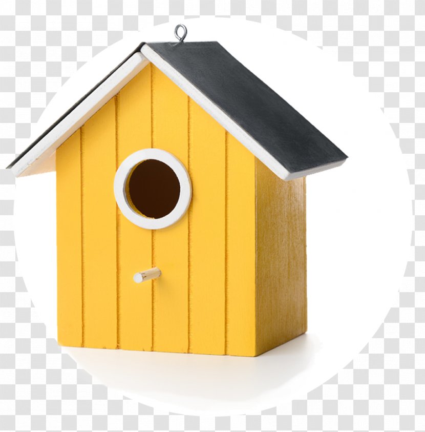 Bird Nest Box Stock Photography - White Transparent PNG