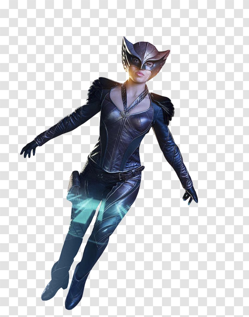 Hawkgirl Hawkman Atom Captain Cold Firestorm Transparent PNG