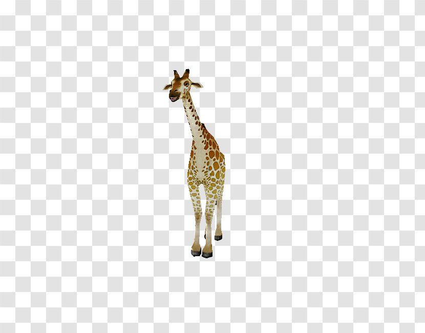 Giraffe Neck Terrestrial Animal Wildlife - Organism Transparent PNG