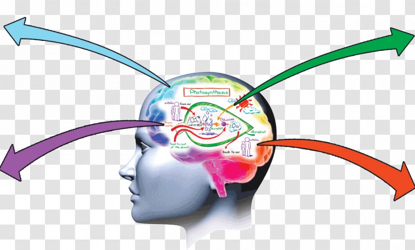 Memory Improvement Brain Memorization Learning - Cartoon - Guru Cliparts Transparent PNG