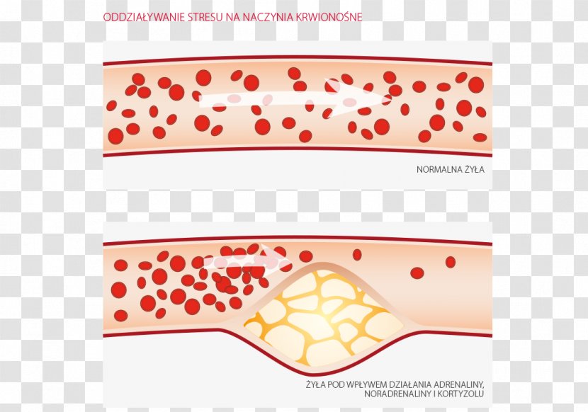 Line Point Pattern - Petal Transparent PNG