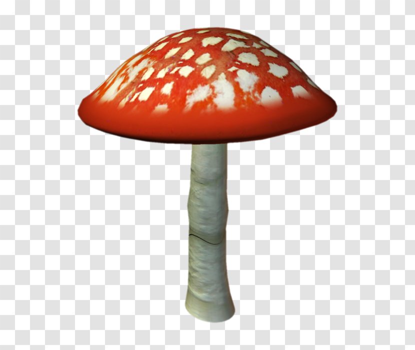 Amanita Muscaria Fungus Mushroom Clip Art Transparent PNG