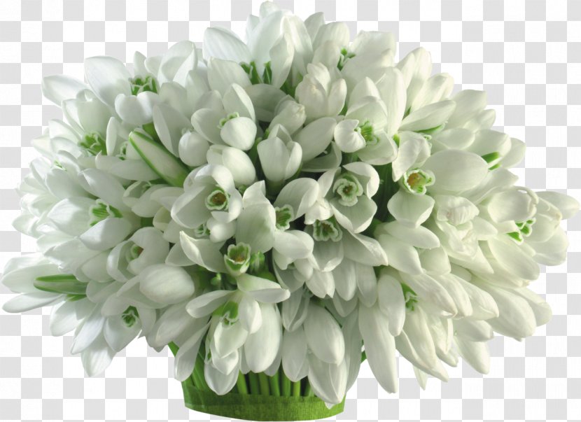 Mărțișor March 1 Girlfriend Snowdrop Love - Bouquet Of Flowers Transparent PNG